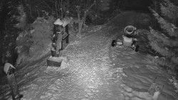 Bílá - běžecká trať