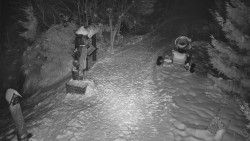 Bílá - běžecká trať