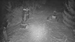 Bílá - běžecká trať