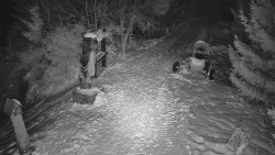 Bílá - běžecká trať