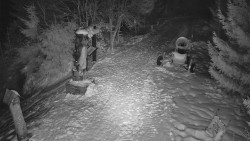 Bílá - běžecká trať