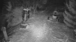 Bílá - běžecká trať