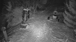 Bílá - běžecká trať