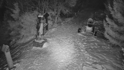 Bílá - běžecká trať