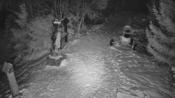 Bílá - běžecká trať