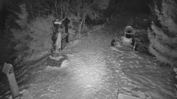 Bílá - běžecká trať