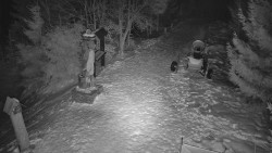 Bílá - běžecká trať