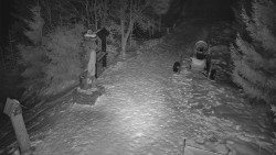 Bílá - běžecká trať