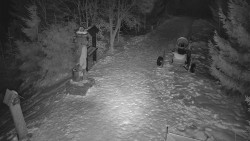 Bílá - běžecká trať