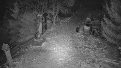 Bílá - běžecká trať