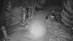 Bílá - běžecká trať