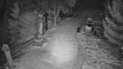 Bílá - běžecká trať