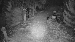 Bílá - běžecká trať