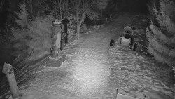 Bílá - běžecká trať