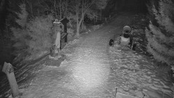 Bílá - běžecká trať