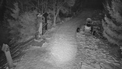 Bílá - běžecká trať