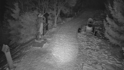 Bílá - běžecká trať