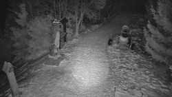 Bílá - běžecká trať