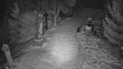 Bílá - běžecká trať