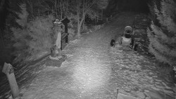 Bílá - běžecká trať