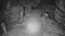 Bílá - běžecká trať