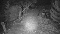 Bílá - běžecká trať