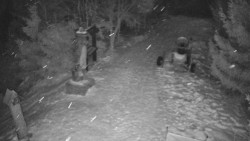 Bílá - běžecká trať