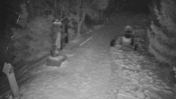 Bílá - běžecká trať