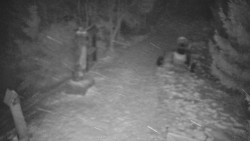 Bílá - běžecká trať