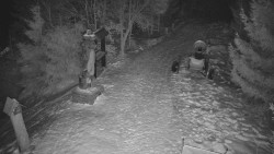 Bílá - běžecká trať