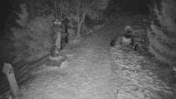 Bílá - běžecká trať