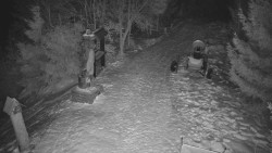 Bílá - běžecká trať