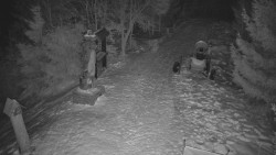 Bílá - běžecká trať