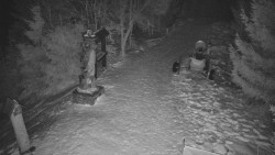 Bílá - běžecká trať