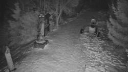 Bílá - běžecká trať