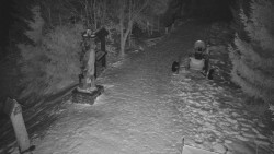 Bílá - běžecká trať