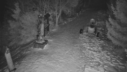 Bílá - běžecká trať