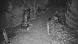 Bílá - běžecká trať