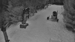 Bílá - běžecká trať