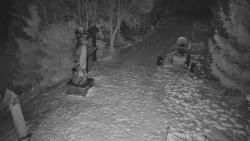 Bílá - běžecká trať