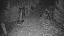 Bílá - běžecká trať