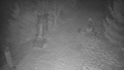 Bílá - běžecká trať