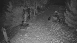 Bílá - běžecká trať