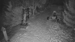 Bílá - běžecká trať