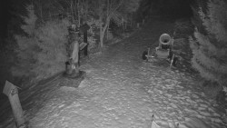 Bílá - běžecká trať