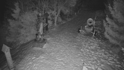 Bílá - běžecká trať