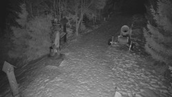 Bílá - běžecká trať