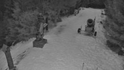 Bílá - běžecká trať