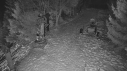 Bílá - běžecká trať