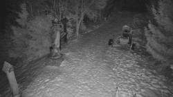 Bílá - běžecká trať